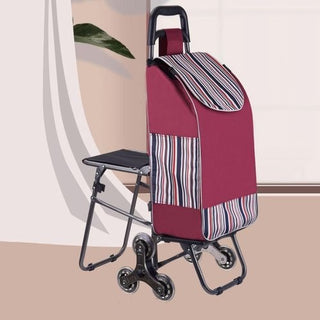 chariot-portable