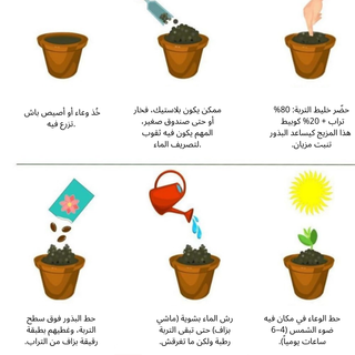 Flower-seeds